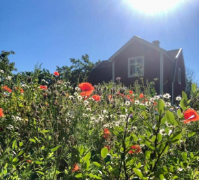 Ferienhaus in Borghamn, Vättern Borghamn